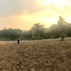 Cần Bán lô đất DT3680M tại Đồng Trạng, Cổ Đông, Sơn Tây