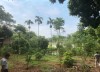 Bán 1 lô đất Hoa Hậu Nghỉ Dưỡng tuyệt vời tại Phú Mãn - Quốc Oai