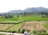 1200m2 vuông te tại Yên Bài Ba Vì, 800m2 thổ cư view cánh đồng cực đẹp, L/H: 0974715503.