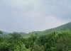 Bán đất thổ cư tại xã Tiến Xuân huyện Thạch Thất Hà Nội - Diện tích 4400m2 - LH 0962.927.668