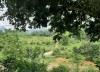 Bán đất thổ cư ở xã Yên Trung huyện Thạch Thất Hà Nội - Diện tích 1400m2
