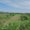 Bán đất ở thôn Chóng xã Yên Bài huyện Ba Vì Hà Nội - Diện tích 3480m2