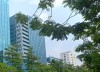 Bán nhà 5 tầng An Dương /Phạm Văn Đồng - 37m - Ô tô đỗ cửa - 3.150 tỷ,