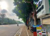 Mặt phố Nguyễn Văn Linh, SĐCC, vỉ hè 3m, KD các loại hình thức, 56m, mt 3,6m, nhỉnh 5 tỷ. Lh 0909258391