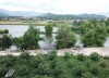 Siêu Phẩm Đất View Sông Hai Mặt Tiền Cực Đẹp Xã Ninh Xuân- TX Ninh Hòa.