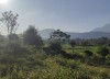 Bán đất nghỉ dưỡng Yên Bài, diện tích 2183m, có 100m thổ cư, view cánh đồng rộng mênh mông, giá hợp lý, e Cúc: 0985953434