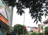Cần bán lô đất 65m2,  phố Nguyễn Mậu Tài,  Trâu Quỳ kinh doanh sầm uất.