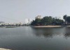 Vip Đống Đa. Bán nhà mặt phố Mai Anh Tuấn, view hồ Hoàng Cầu, đường 6,5m, 100m2, MT 5.5m