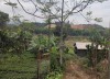 Bán đất Kim Sơn, diện tích 880m, view cánh đồng rộng mênh mông, giá hợp lý, E Cúc: 0985953434