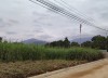 Bán đất Yên Bài, diện tích 729m, 100m thổ cư, mặt tiền 30m, giá hợp lý. E Cúc: 0985953434
