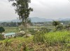 Bán Đất mặt đường, View cánh đồng ở Huyện Ba Vì  Hà Nội