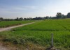Sở Hữu Ngay  Lô Đất Vị Trí Đẹp Giá Siêu Rẻ Tại Huyện Đức Hòa - Tỉnh Long An