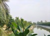 Sở Hữu Ngay Lô Đất Vị Trí Đẹp Giá Siêu Rẻ Tại Xã Tân Hoà, Huyện Tân Thạnh ,Tỉnh Long An