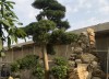 Biệt Thự Dự Án SenTuRaia-Vườn Lài Q12 – 345m2-Chỉ 25 Tỷ