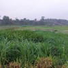 Bán đất Minh Quang, lô góc 2 mặt tiền, view cánh đồng thông thoáng, cách DT415 khoảng 400m, giá rẻ nhất thị trường. LH: Em Cúc: 0985953434