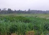 Bán đất Minh Quang, lô góc 2 mặt tiền, view cánh đồng thông thoáng, cách DT415 khoảng 400m, giá rẻ nhất thị trường. LH: Em Cúc: 0985953434