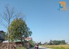 Siêu phẩm view cánh đồng 86m2 bìa làng Đông Lai - Quang Tiến - Sóc Sơn.