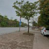 Bán nhà mặt phố Lê TRọng Tấn Hà Đông đối diện Park City 116m2,phân lô vỉa hè bất tận.