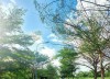 Chủ bán rẻ lô đất KDC Rạch Tôm, 80m2, view công viên, 3,6 tỷ, giáp Phú Mỹ Hưng