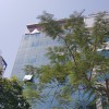 Nhà 8 tầng mặt phố Vũ Phạm Hàm Nguyễn Khang Cầu Giấy Hà Nội 40 tỷ.